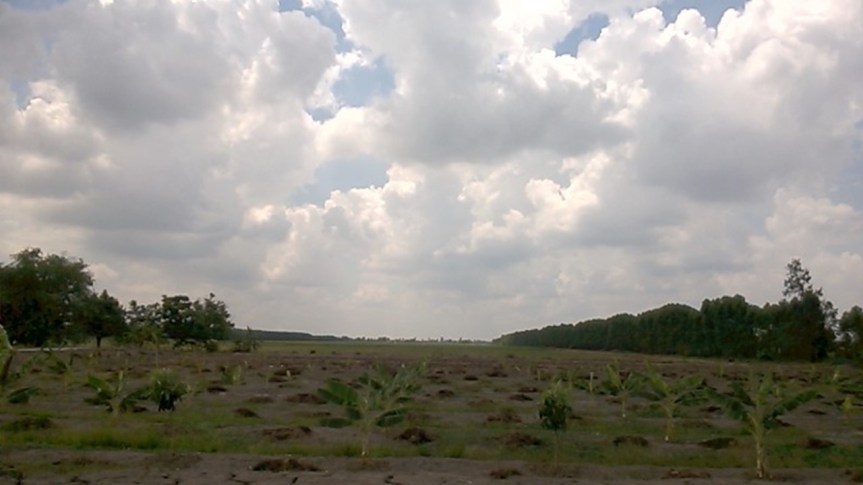 My journey on becoming a farmer in permanent&nbsp;agriculture