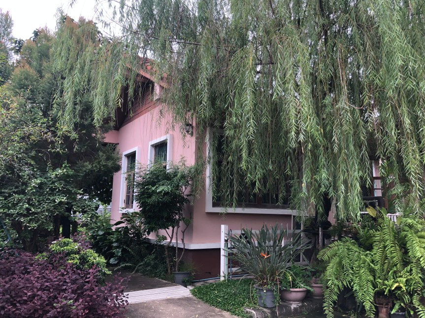 ย่านอารีย์: ก่อนครบร้อยปีแห่งความคิดสร้างสรรค์ สู่อนาคตที่ยั่งยืน