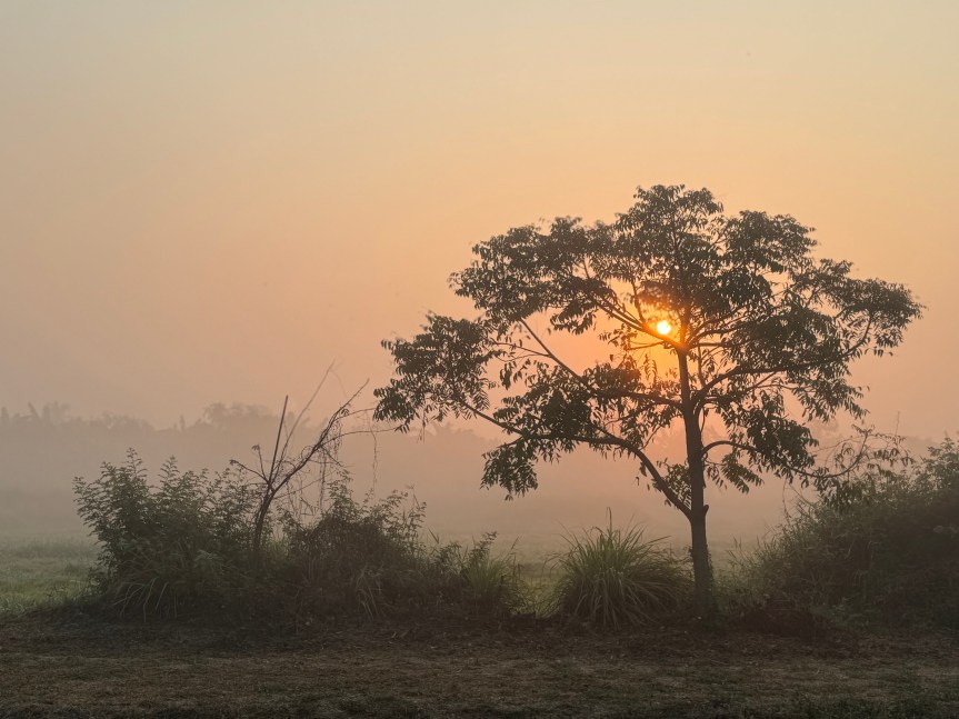 Ayutthaya’s Food Story: More Than Just&nbsp;Rice